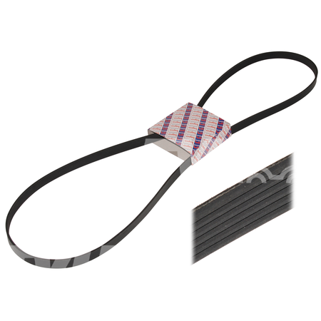 Curea 8pk1460 Claas 87316555